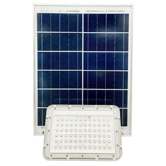 Прожектор Protester SLFL1001