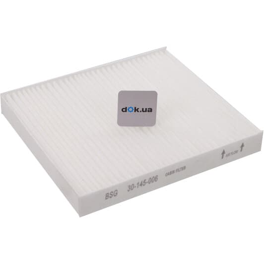 BSG 30-145-006 BSG Фильтр салона