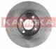 103111 Kamoka Тормозной диск для Renault Kangoo