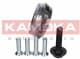 5500153 Kamoka Подшипник ступицы колеса