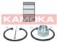 5600095 Kamoka Подшипник ступицы колеса