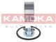 5600076 Kamoka Підшипник ступиці колеса