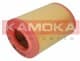 F213901 Kamoka Воздушный фильтр