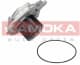T0002 Kamoka Помпа