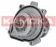 T0009 Kamoka Помпа