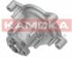 T0021 Kamoka Помпа