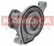 T0021 Kamoka Помпа