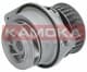 T0024 Kamoka Помпа