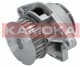 T0024 Kamoka Помпа