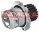 T0025 Kamoka Помпа