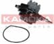 T0031 Kamoka Помпа