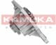 T0035 Kamoka Помпа