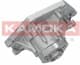T0035 Kamoka Помпа
