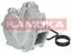 T0049 Kamoka Помпа