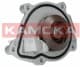 T0050 Kamoka Помпа