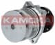 T0058 Kamoka Помпа