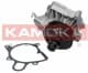 T0060 Kamoka Помпа