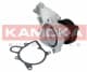 T0063 Kamoka Помпа
