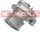T0069 Kamoka Помпа