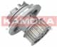 T0069 Kamoka Помпа