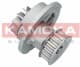 T0070 Kamoka Помпа