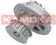 T0070 Kamoka Помпа
