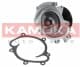 T0073 Kamoka Помпа