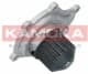 T0076 Kamoka Помпа