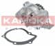 T0082 Kamoka Помпа