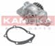 T0085 Kamoka Помпа