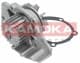 T0086 Kamoka Помпа