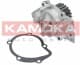 T0086 Kamoka Помпа