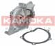 T0091 Kamoka Помпа