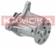 T0093 Kamoka Помпа