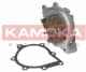 T0094 Kamoka Помпа