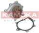 T0094 Kamoka Помпа
