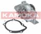 T0095 Kamoka Помпа