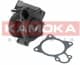 T0097 Kamoka Помпа