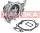 T0105 Kamoka Помпа