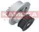 T0108 Kamoka Помпа