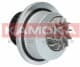T0108 Kamoka Помпа