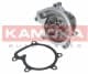 T0110 Kamoka Помпа