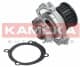 T0114 Kamoka Помпа