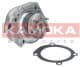 T0115 Kamoka Помпа