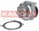 T0115 Kamoka Помпа