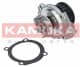 T0117 Kamoka Помпа