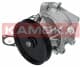 T0123 Kamoka Помпа