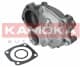 T0125 Kamoka Помпа