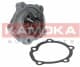 T0126 Kamoka Помпа