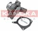 T0131 Kamoka Помпа